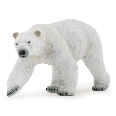 NIEDŹWIEDŹ POLARNY - Polar bear - PAPO - 50142