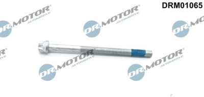 DR.MOTOR DRM01065 ZRUBA, BOQUILLA  