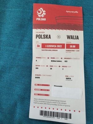 bilet Polska- Walia