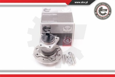 BEARING I HUB KOL ESEN SKV 29SKV113  