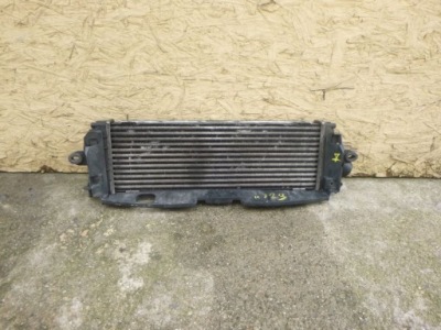 Renault trafic vivaro рестайлінг  2.0 2.5 06- інтеркулер фото №1