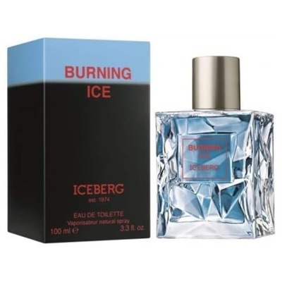 Iceberg Burning Ice 100ml edt spray