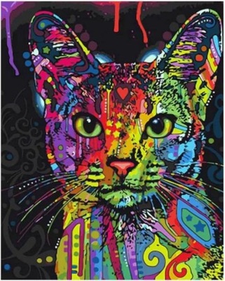 Malowanie po numerach 40x50 Kolorowy kot