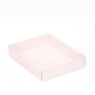 Pudełko z przezroczystym wiekiem 16x21x4cm różowe