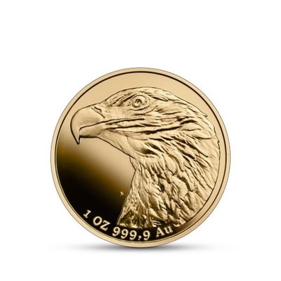 Złota Moneta Bielik 500 - 2022