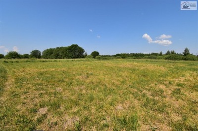 Działka, Różnowo, Dywity (gm.), 1329 m²