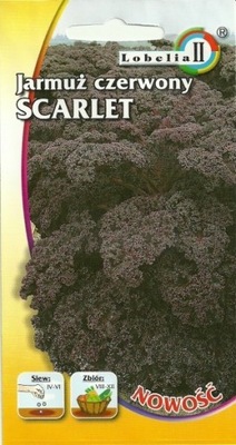 Jarmuż czerwony SCARLET