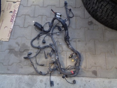 Mercedes w169 2.0 cdi джгут двигуна a6401502333 фото №1