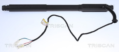 AMORTIGUADOR ELÉCTRICO TAPONES DE MALETERO BMW X5 10.06-07.13 871011304  