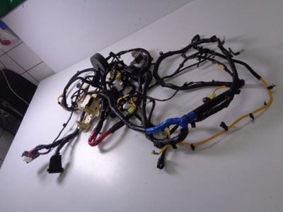 Электропроводка кабины салона kia niro i ev lift 2022 rok фото №1