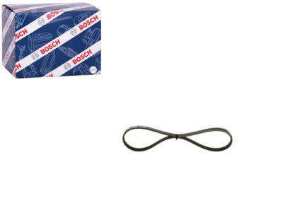 Ремінь клиновий ford maverick mondeo iii ford usa escape 2.5 3.0 10.00- фото №1