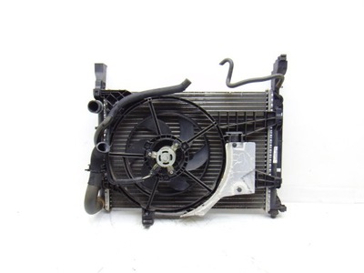 Вентилятор + радиатор wody renault kangoo ii 8200418327 8200418327 фото №1