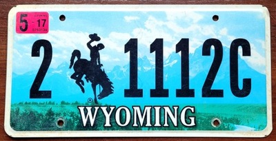 WYOMING 2017 - PLACA REJESTRACYJNA CON EE.UU.  