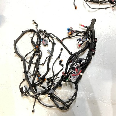 Renault captur ii 1.6 гібрид джгут лампи радар фото №1