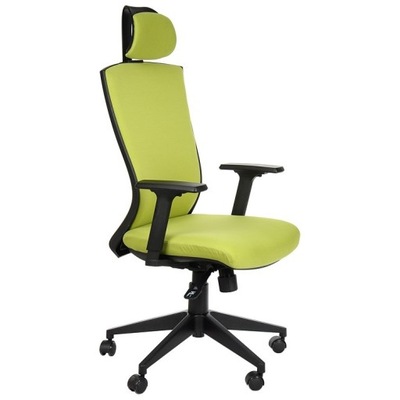 Fotel Obrotowy RIKI Zielony Krzesło Ergonomiczny