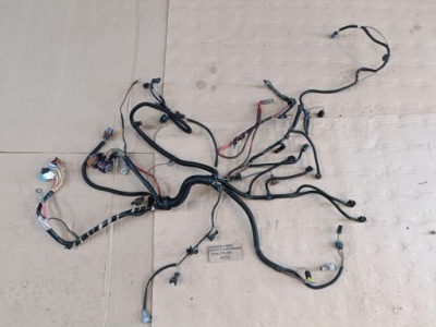 8200293048 электропроводка жгут двигателя megane ii cabrio cc 2.0 16 v 2004 rok фото №1