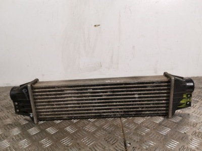 2006 ssangyong rexton інтеркулер фото №1