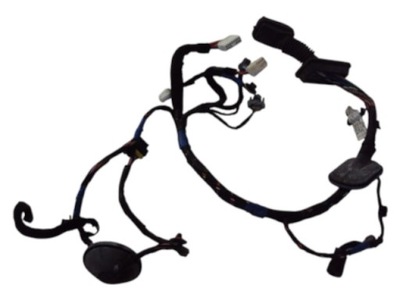 Электропроводка дверь левый перед hyundai santa fe ii фото №1