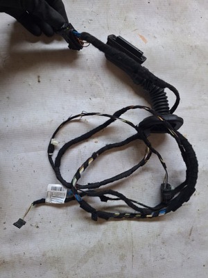 Bmw x1 f48 lift джгут двері лівий задня фото №1