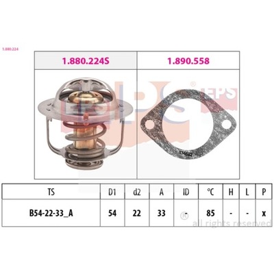 TERMOSTAT, VIDURYS AUŠINAMASIS EPS 1.880.224 