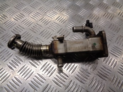 Радіатор вихлопних газів scenic ii 1.9 dci 8200360566a фото №1