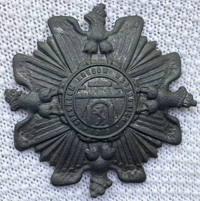 Odznaka, ORLĘTA Obrońcom Kresów 1919