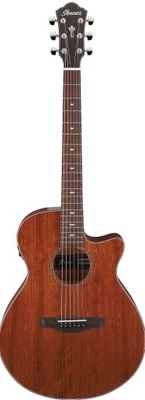 Ibanez AEG220 LGS - gitara elektroakustyczna