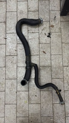 Шланг wąż wody renault kangoo iv 215031098r фото №1