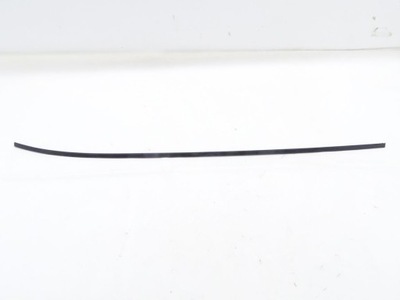 Hyundai getz 02-09 молдинг дахова права 5d фото №1