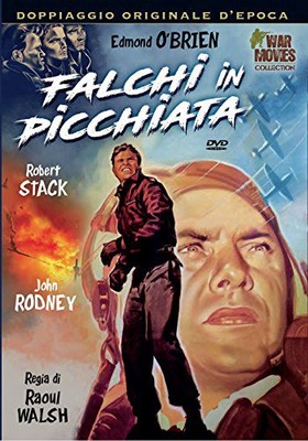 FIGHTER SQUADRON [DVD]