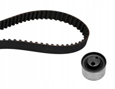 Ina 530 0322 10 набор ремень распределительного вала фото №1