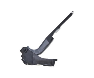 LEXUS RX300 1999 - 03 CHARNELA DE CAPO P  