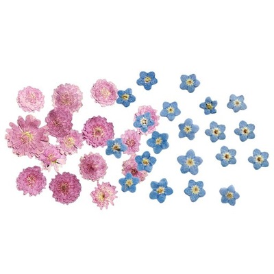 20x Suszone Kwiaty Prasowane Kwiaty DIY Zachowane
