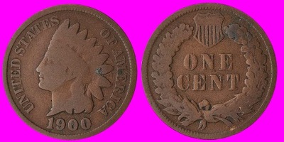 1 Cent INDIANIN USA 1900 U 238