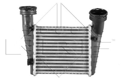 30138A AUŠINTUVAS INTERCOOLER PASSAT 1.9TDI 00- 