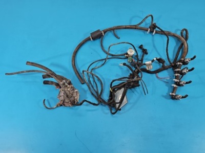 Электропроводка lpg газа stag 4 qbox basic фото №1