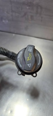 Mercedes-benz a35 w177 amg 2.0t заливна горловина трубка шланг оливи a2600181000 фото №1