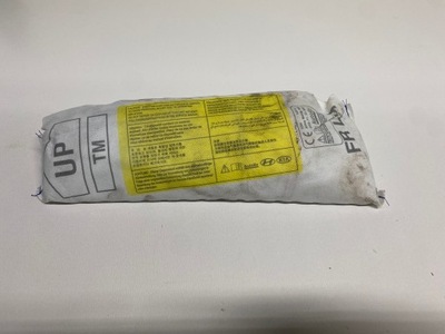 Подушка сидіння ліва hyundai santa fe iv 18-22 фото №1