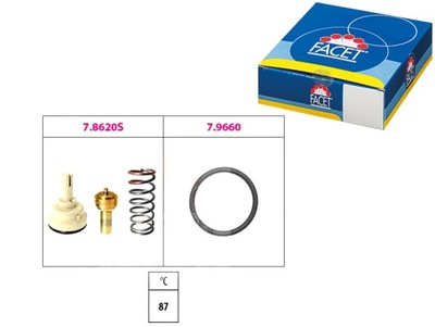 TERMOSTATAS VW EOS 1.6 FSI (1F7. 1F8) 