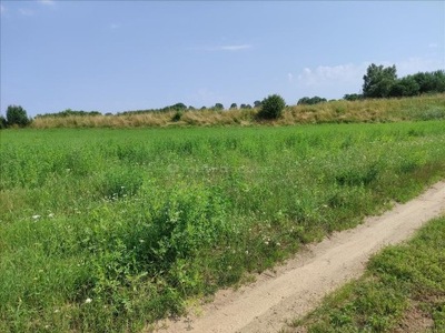 Działka, Likiec, Skępe (gm.), 20300 m²