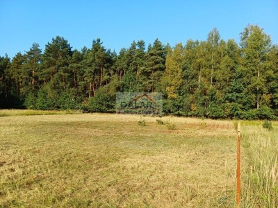 Działka, Henryków, Chynów (gm.), 1800 m²