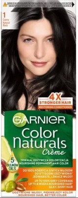 GARNIER Color Naturals Farba do włosów 1 czarny