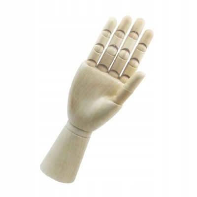 Szkieletowa ręka drewnianego manekina Model
