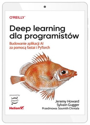 Deep learning dla programistów. Budowanie
