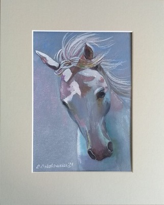 koń portret konia akwarela na papierze