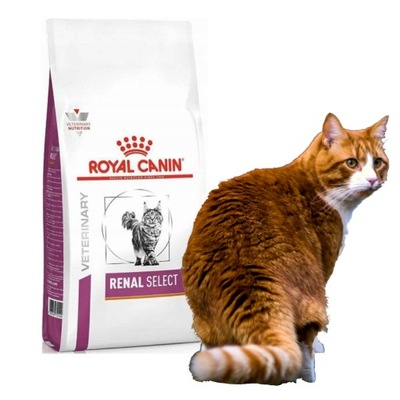 Karma dla kota Royal Canin VD Cat Renal Special 4kg