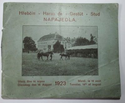 Konie wyścigowe, Aukcje, Katalog, Napajedla 1923