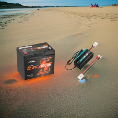 Аккумулятор 12v 100ah group24 bt + зарядное устройство 12v/20a фото №1