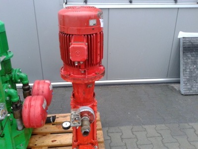 Pompa LOEWE VNP 4/6A 24m3/h 2900U/min H 110m 15kW