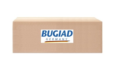 ПАТРУБОК ІНТЕРКУЛЕРА BUGIAD 81738